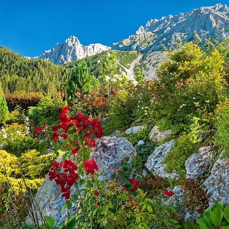 Pension Stoffenbauer Ramsau am Dachstein Extérieur photo