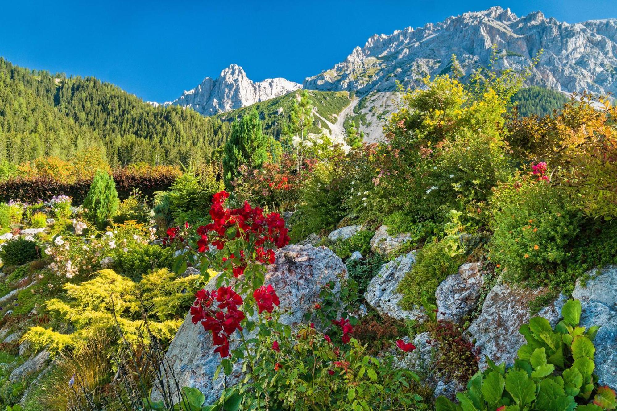 Pension Stoffenbauer Ramsau am Dachstein Extérieur photo