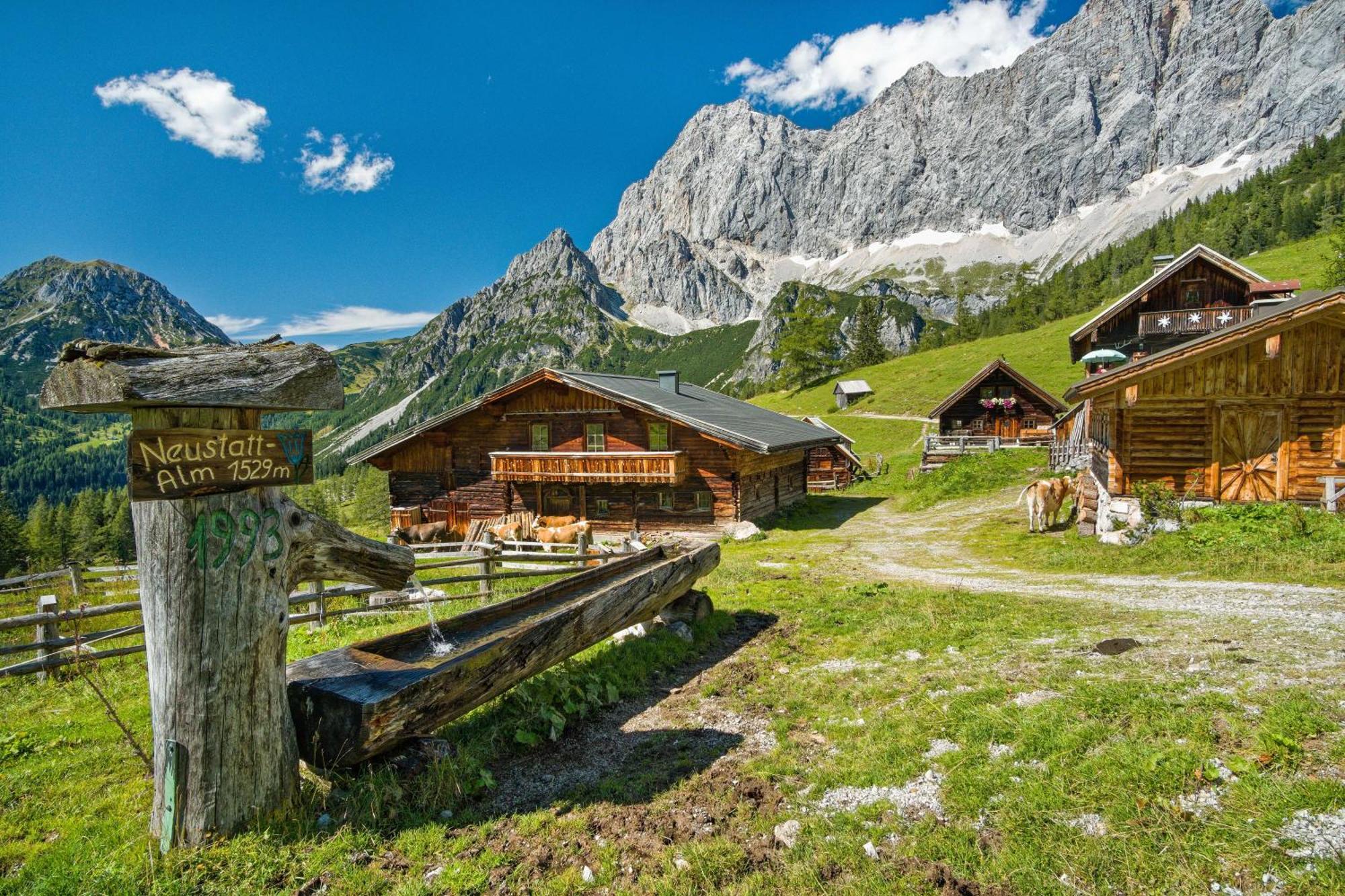 Pension Stoffenbauer Ramsau am Dachstein Extérieur photo