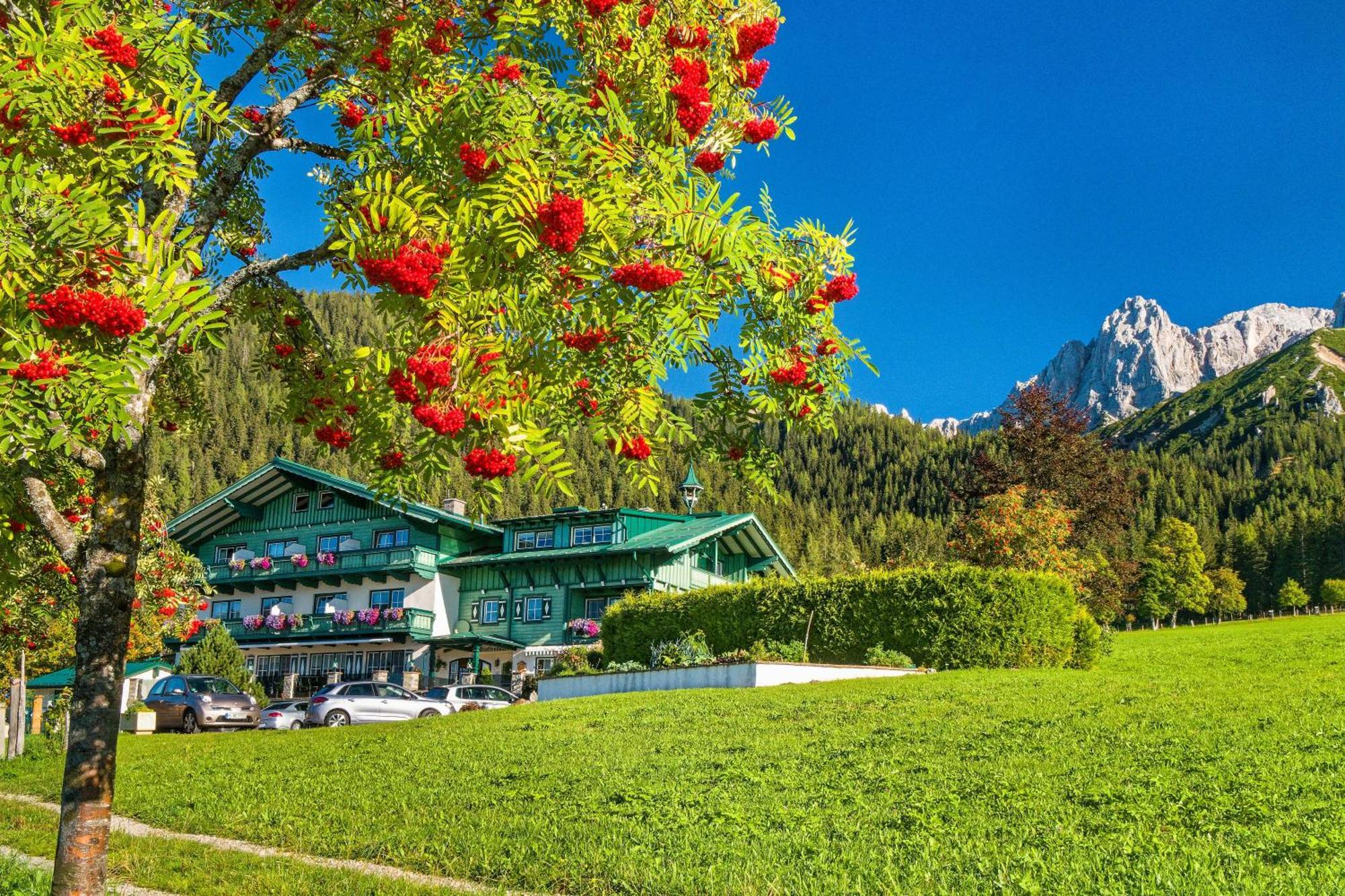 Pension Stoffenbauer Ramsau am Dachstein Extérieur photo