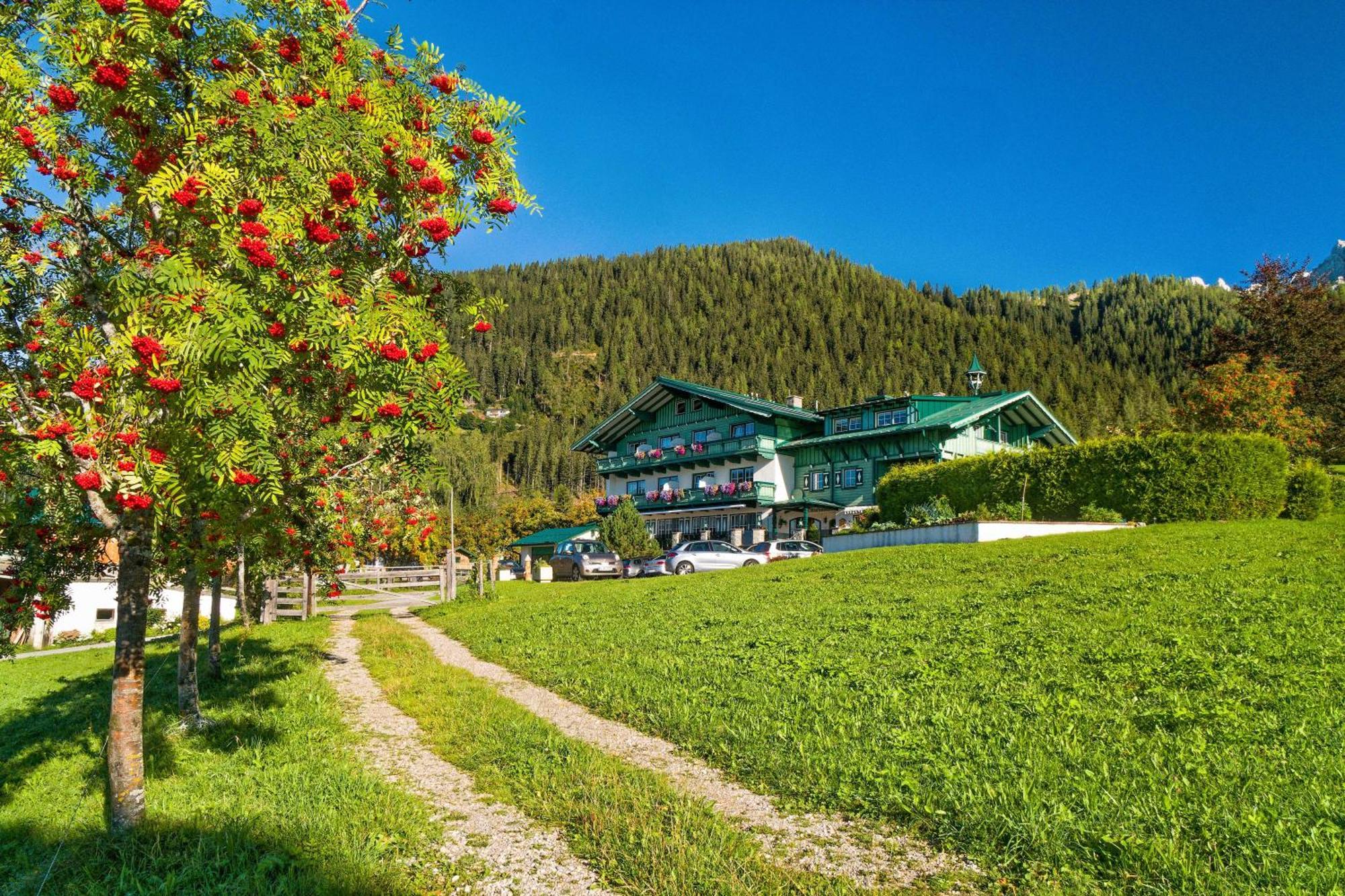 Pension Stoffenbauer Ramsau am Dachstein Extérieur photo