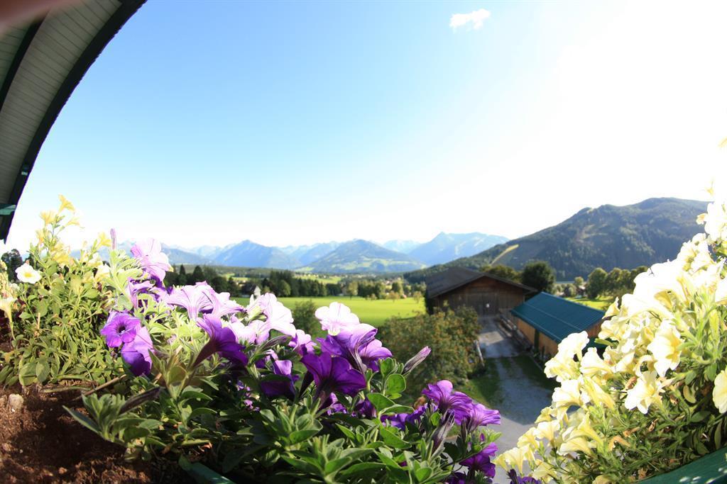 Pension Stoffenbauer Ramsau am Dachstein Extérieur photo
